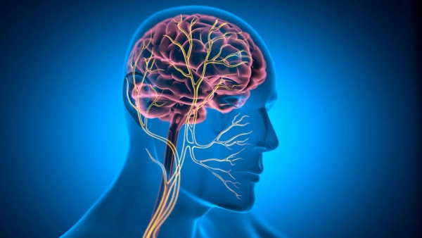 Understanding Vagus Nerve Stimulation and Its Potential Benefits